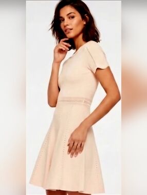 Sandro Aspen Knit Dress Sz. EU 2 / US 6